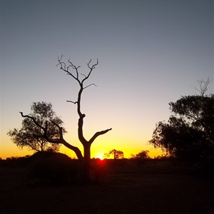 Mingol Camp Evening (2010)