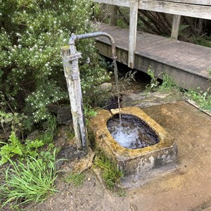 Dartmoor free natural spring water