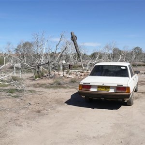 Well 41 Peugeot 505 on track