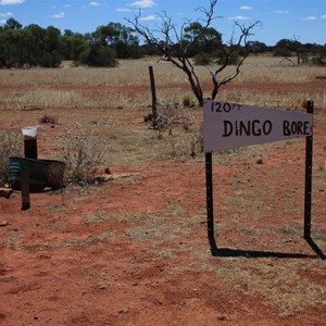 Dingo Bore