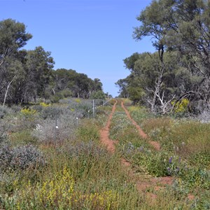 Track