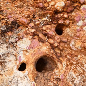 Gnamma Holes at Winterbottom Rocks