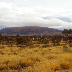 Rawlinson Range 