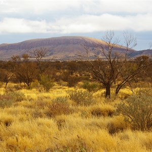 Rawlinson Range 