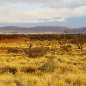 Rawlinson Range 