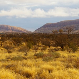 Rawlinson Range 