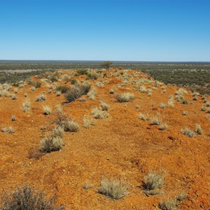 Hanns Tabletop Hill 