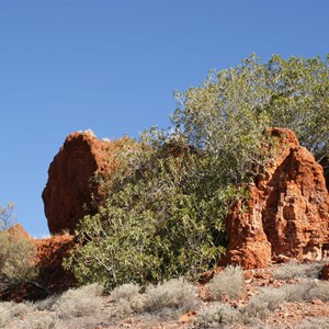 Hanns Tabletop Hill