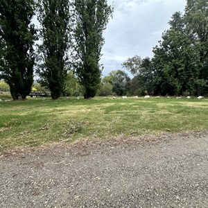 Kergunyah stream side reserve