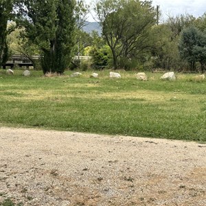 Kergunyah stream side reserve