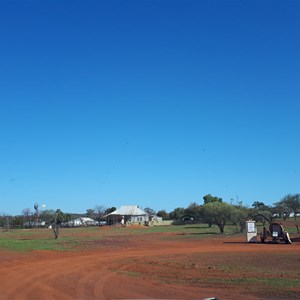 Wydgee