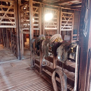 Thundelarra Homestead & Shearers Quarters