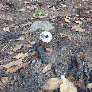 Wooden Trolleyway rail alignment