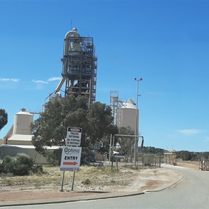 Dongara Lime Plant