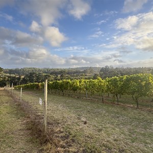 Ducketts Mill Wines Campground