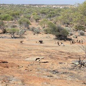 Meroin Rock