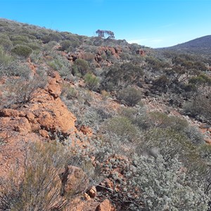 South West Peak