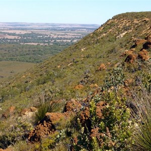 Mt Lesueur eastern flank.