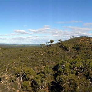 Lesueur Panorama.