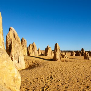 Afternoon light at the Pinnacles