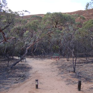 Rest Area at Elachbutting Rock