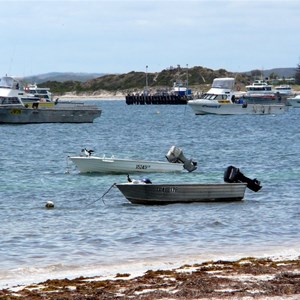 The Lancelin crayfishing fleet.