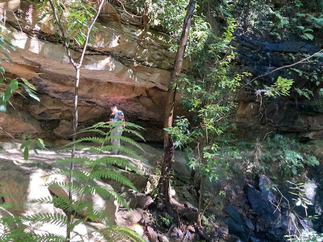 Hazel Falls NSW @ BOG Places