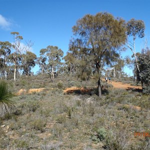 Mt Talbot