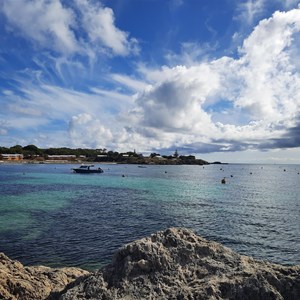 A resplendent Rottnest