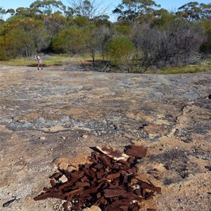 Totadgin Rock Reserve