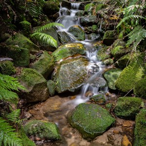 Grand Canyon waters cascading