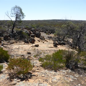 View from Wadderin Hill