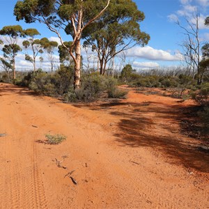 B10 Cairn & Woodline Catchments Turn-Off