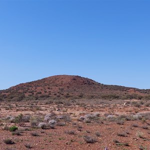 Mount Leonora