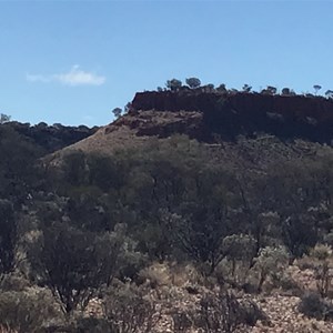 Swamper Point