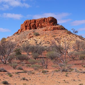 Bishop Rileys Pulpit