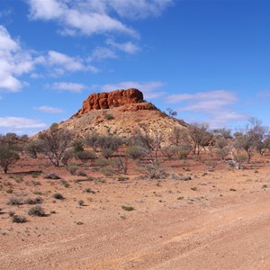 Bishop Rileys Pulpit