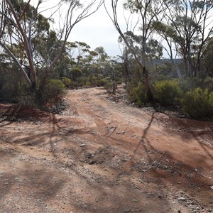 Mount Burges Track Turn-Off