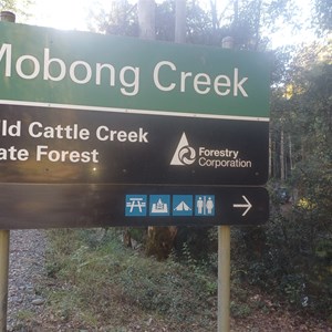 Mobong creek campground