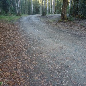 Mobong creek campground
