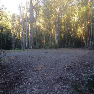 Mobong creek campground