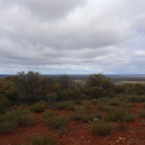 Mount Burges