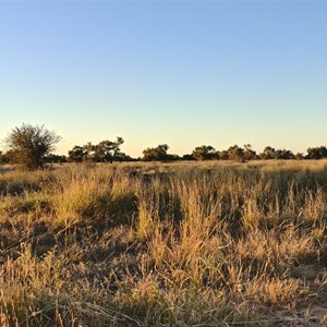 Cluny free roadside camp