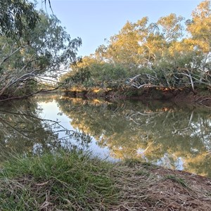 Burke River free camp