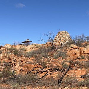 Mount Augustus summit hike