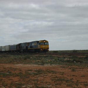 Train approaching Haig crossing