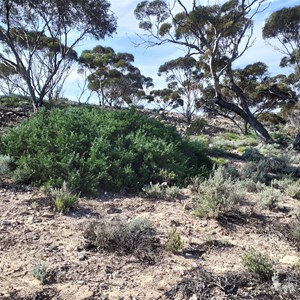 Madura Pass Blowhole