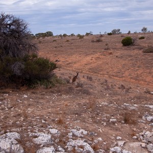 Pannikin Doline Cave