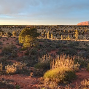 Uluru Winter Sunrise Viewing Point