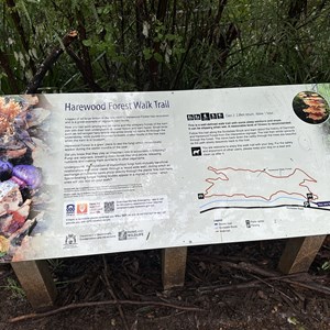 Harewood Forest Walk Trail